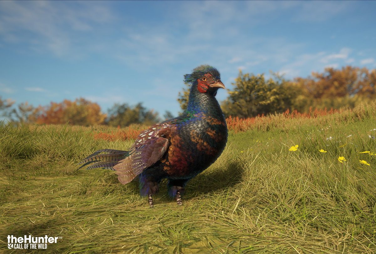 theHunterCOTW's tweet photo. From concept to in-game

Obsidian ⚫ Sapphire 💎 Emerald 🌳 Citrine 🔥 https://t.co/9OX8yUI9x9