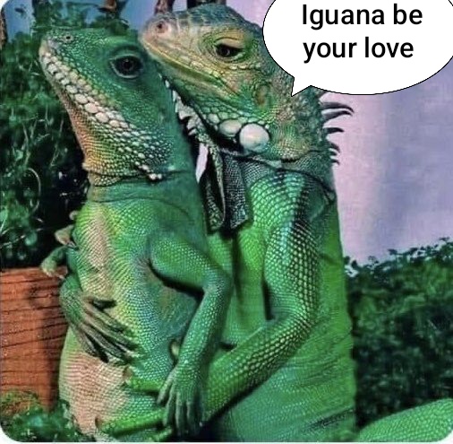 𝐁𝐚𝐫 𝐃𝐞 𝐏𝐮𝐞𝐛𝐥𝐨 tweet media