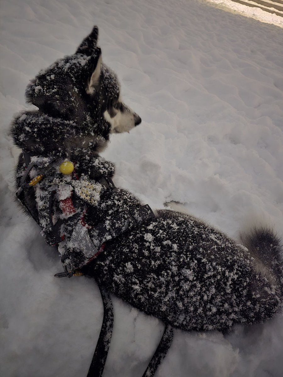 파트라슈 나 점점 잠이 와
어쩌라고