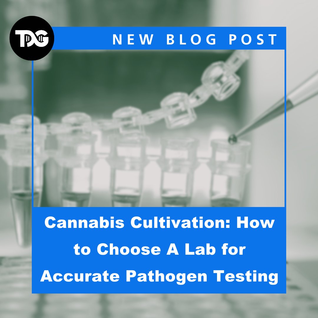 🔬 TUMI Genomics tweet media