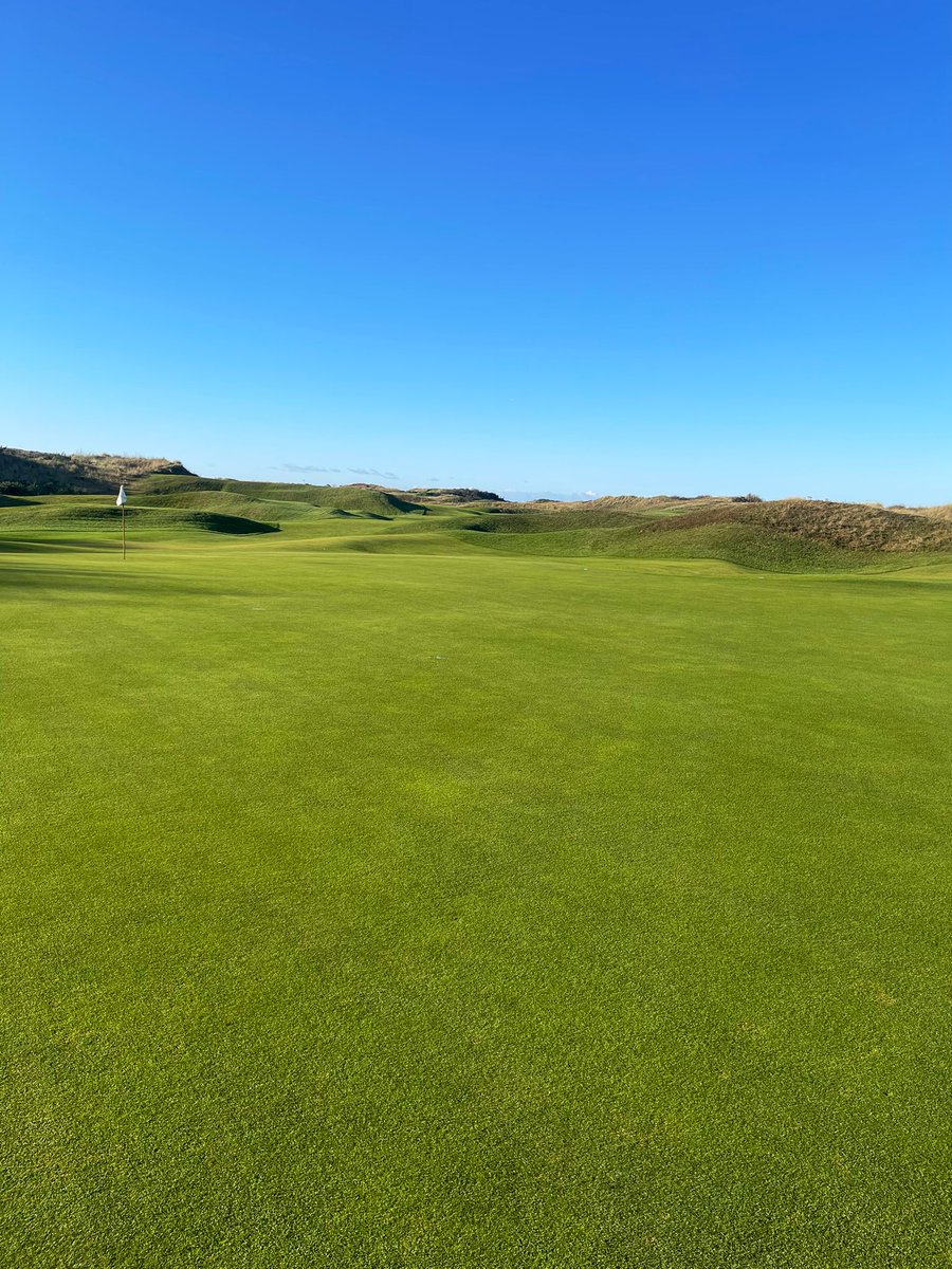 John Mcloughlin tweet media