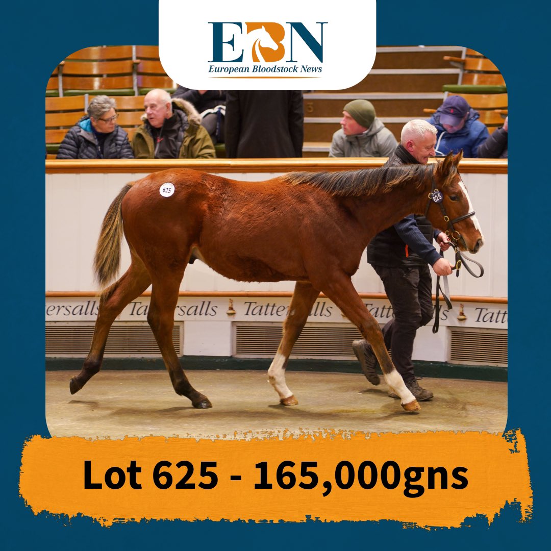 EBN (@bloodstocknews) on Twitter photo ๐ตโช๏ธ A brilliant result for <a href="/Shadwell_EU/">SHADWELL</a>โs first-crop foal sire MINZAAL ๐ตโช๏ธ
Lot 625 - colt was consigned by <a href="/Kellsgrange2010/">Kellsgrange Stud</a> and sold to <a href="/HoStud/">Tally-Ho Stud</a> for 165,000gns.
He is from the family of the Gr.1 winner SPECIOSA & the Gr.3-winning MISE EN SCENE.
#ReadAllAboutIt ๐ตโช๏ธ A brilliant result for <a href="/Shadwell_EU/">SHADWELL</a>โs first-crop foal sire MINZAAL ๐ตโช๏ธ
Lot 625 - colt was consigned by <a href="/Kellsgrange2010/">Kellsgrange Stud</a> and sold to <a href="/HoStud/">Tally-Ho Stud</a> for 165,000gns.
He is from the family of the Gr.1 winner SPECIOSA & the Gr.3-winning MISE EN SCENE.
#ReadAllAboutIt