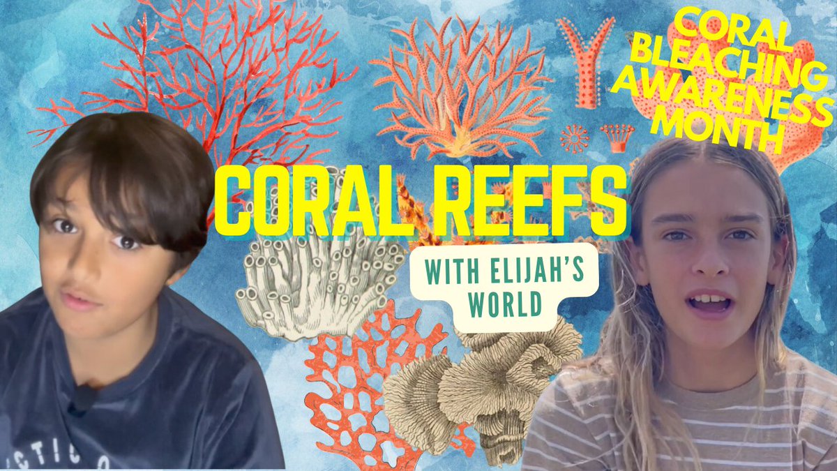 LeosAnimalPlan1's tweet photo. It's Coral Bleaching Awareness Month! My new video about #coral with Elijah's World is on my youtube channel! 🪸

All proceeds from the video go to @Coral_Watch 💚
https://t.co/On7eS4VQN0

#coral #coralreefs #STEM #MarineConservation #Biodiversity #OceanScience #SciComm https://t.co/d8tXi8B8PW