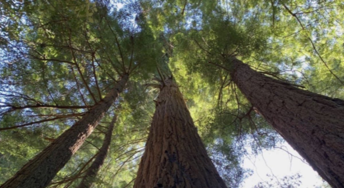 FutureGood tweet media