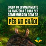 Photo by Seja Legal com a Amazônia (@SejaAmazonia)