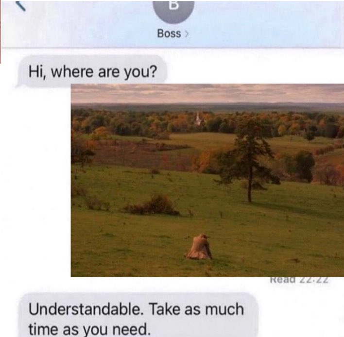 best of little women (@bestlittlewomen) on Twitter photo 