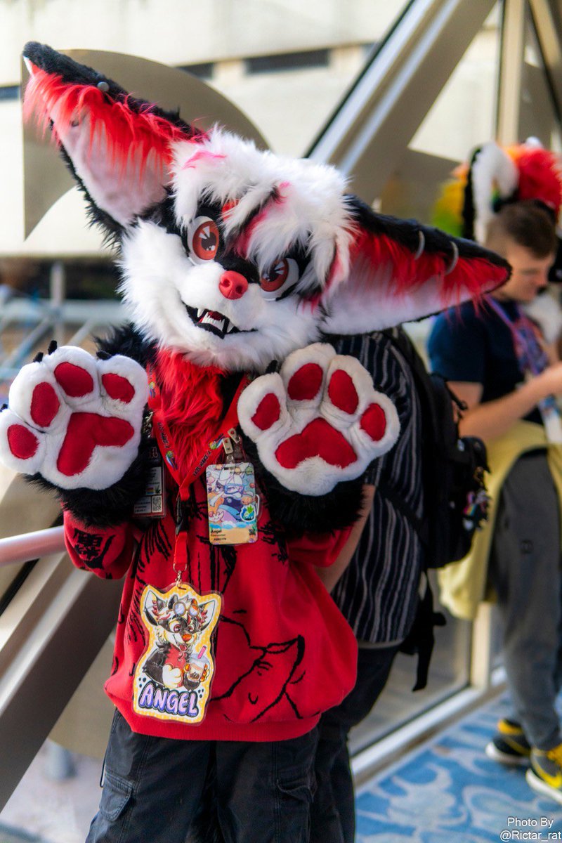 angel.the.fennecfox 🔜 Furnal Equinox 26 tweet media