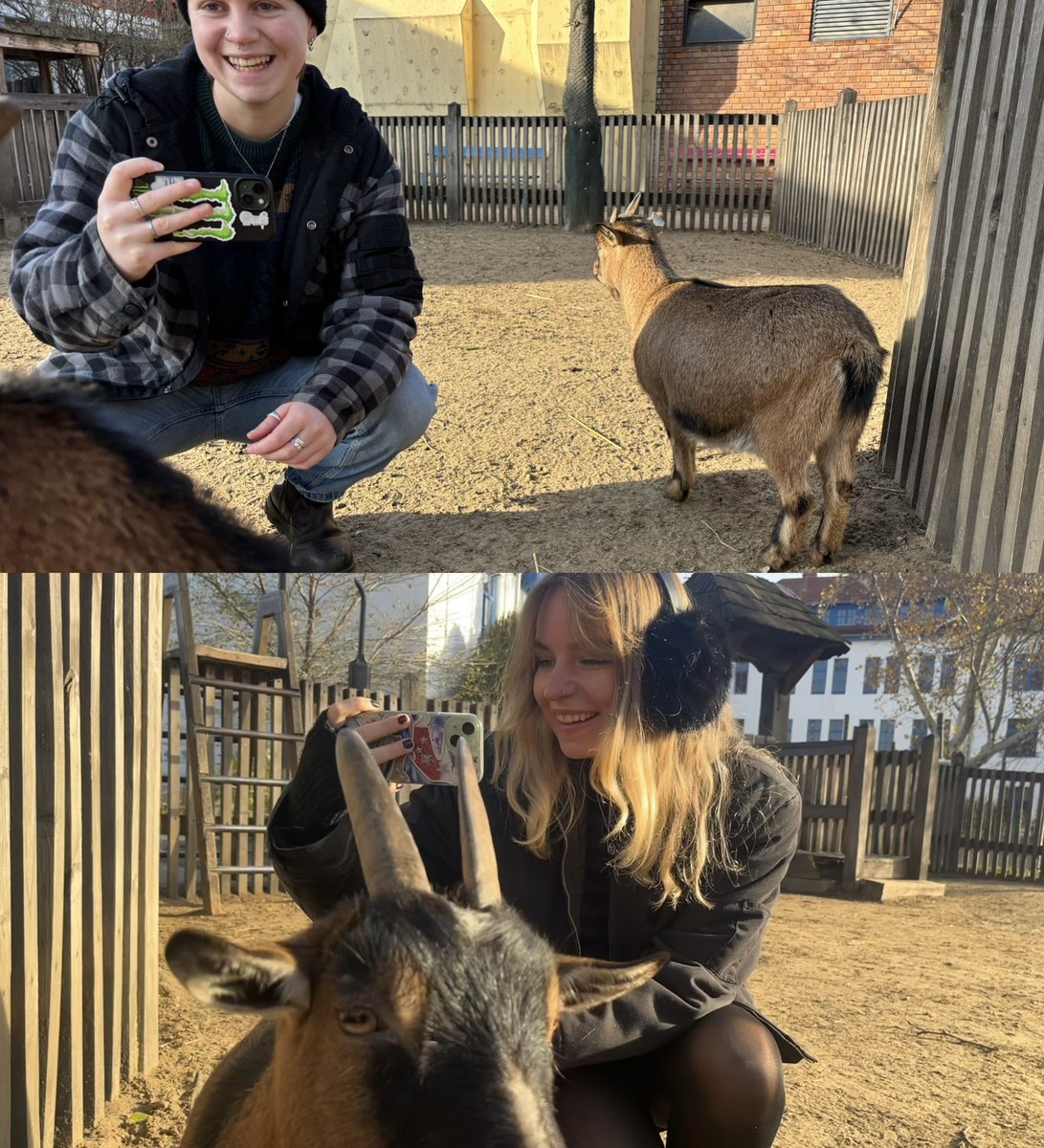 being gay in budapest rn