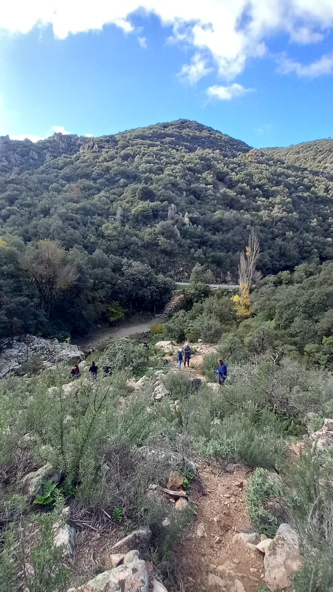 Esplendida jornada de campo con los alumnos de #Ing_Forestal y conservación de la naturaleza de <a href="/ETSEAFIV_UdL/">ETSEAFIV_UdL</a> en el Paraje Natural de Poblet. Aprendiendo a hacer muestreos de comunidades vegetales y de ADN_edafico (#hongos, #bacterias...). 🌲🍄🌱