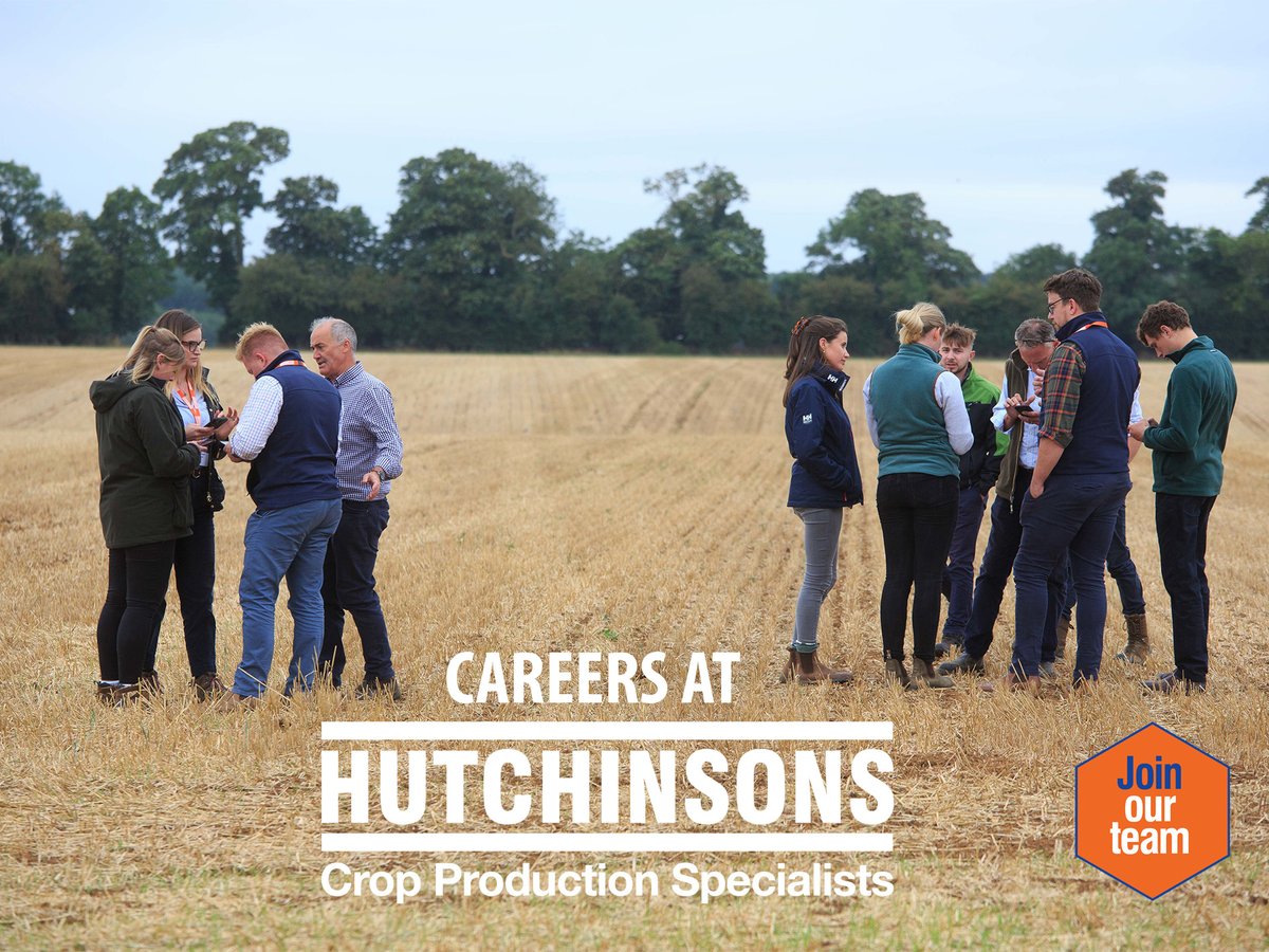 ❗We are recruiting❗

Hutchinsons are hiring for a range of exciting career opportunities nationwide!

We'd love to hear from you! 

Explore and apply for our vacancies here:
loom.ly/eVhjSC8