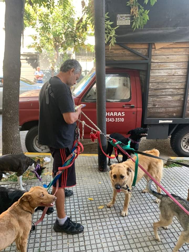 🚨PASEADOR DENUNCIADO

ROMERO CESAR ARIEL es el nombre de este paseador que dejo a los perros atados mas de 1 hora ladrando al frente de mi casa. ZONA DRAGO, COGHLAN, calle donado y monroe. Hicimos la denuncia correspondiente. El hombre llego por los perros corriendo porque