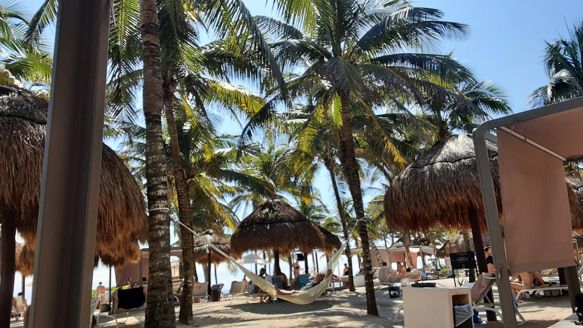 garquake's tweet photo. Cabana Beach Day #mexico #comlife #com #oott #sun https://t.co/e5hmEYuyFa