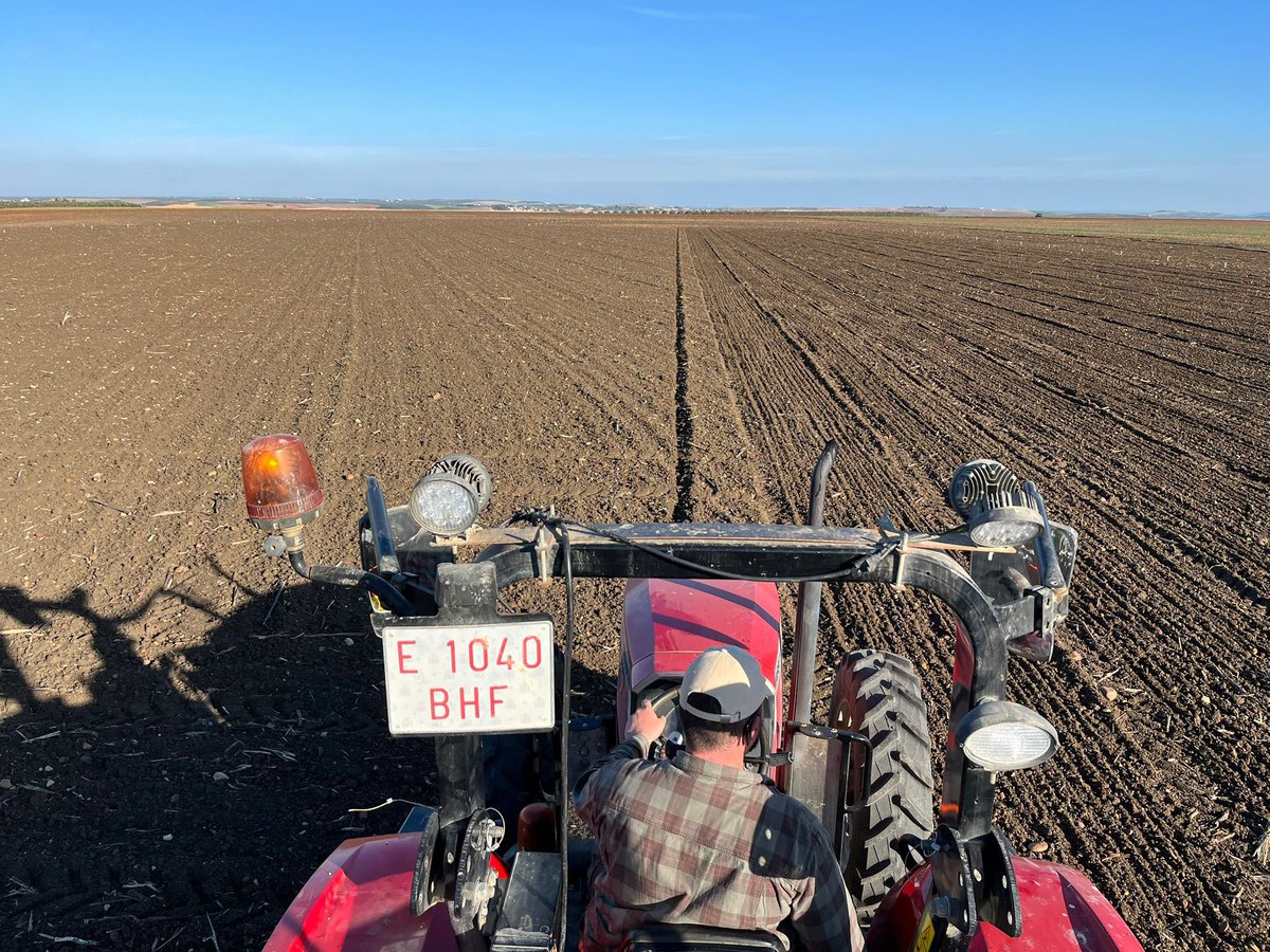 Siembra de ensayos de nuevas variedades de cereal de secano de <a href="/AgrovegetalSA/">Agrovegetal SA</a> en <a href="/CoesagroEcija/">Coesagro</a> <a href="/franciscoruizgm/">Francisco Ruiz Gómez</a>