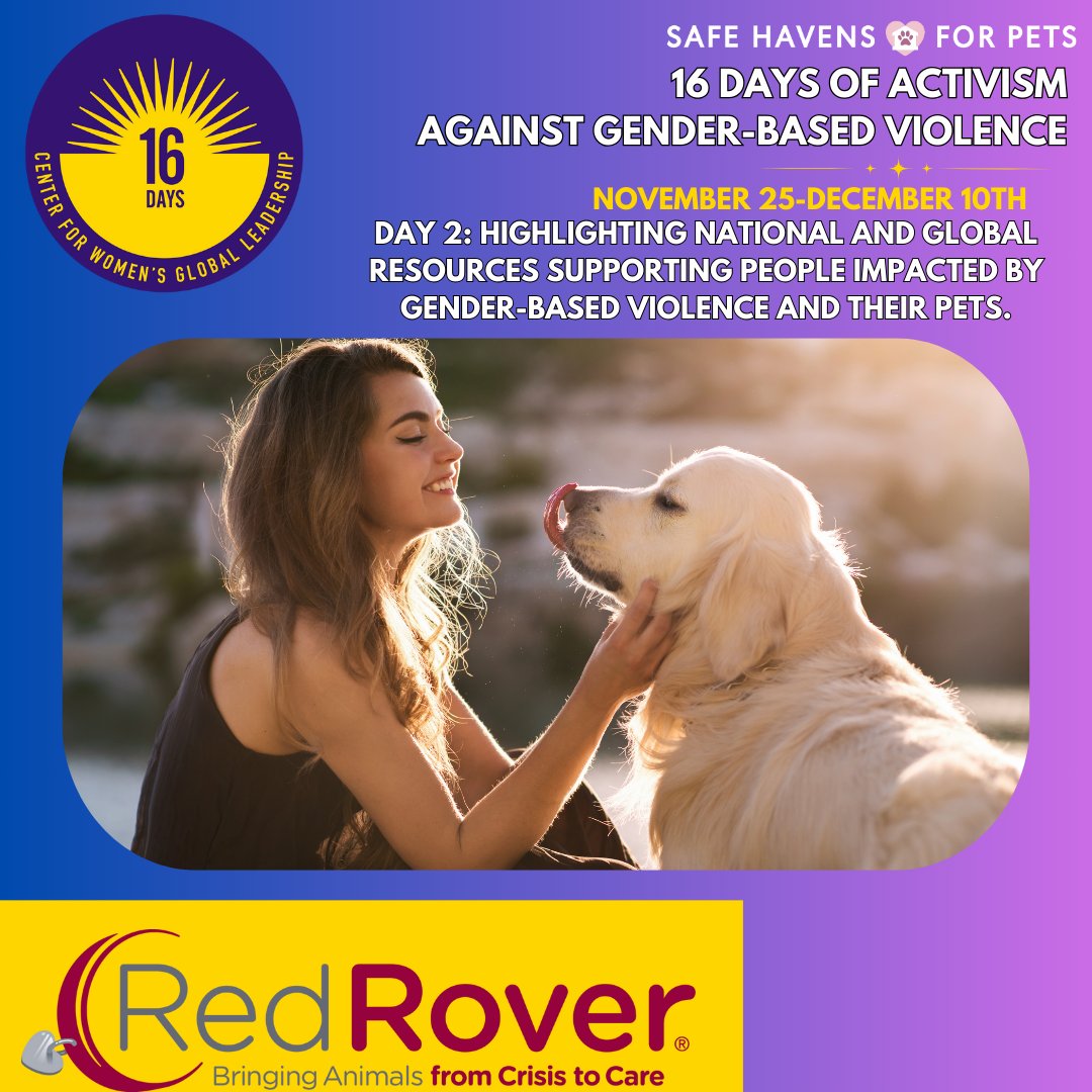 Safe Havens for Pets tweet media