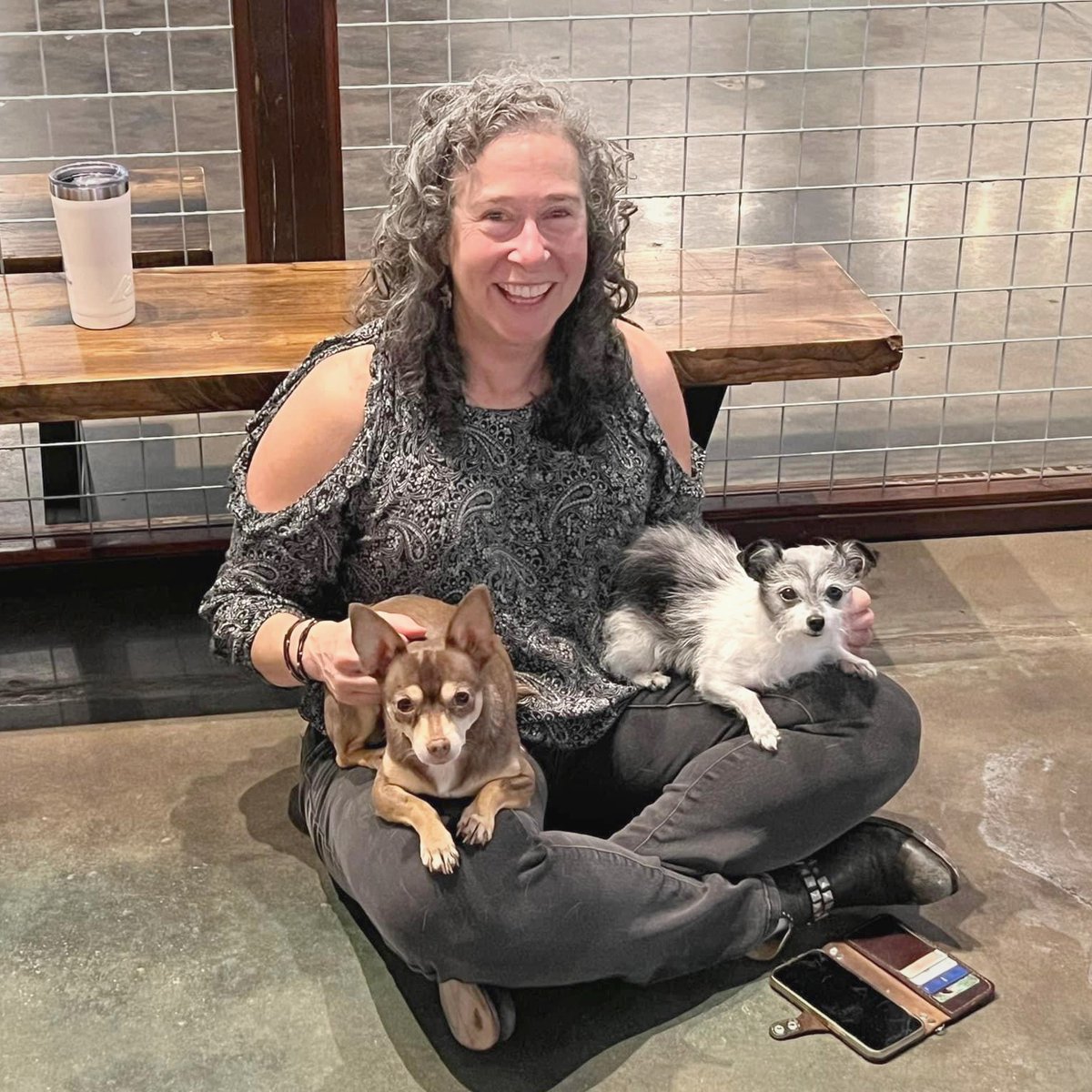 BoosIcehouse's tweet photo. 🩶 November is "Adopt a Senior Dog Month" and we want to underline that with a Senior Dog Night! 
🍕 We also have 50% off pizza all day today - dine in or take out!  

 #boosdogbar 
#sarasotadogs #dogbar #seniornight #thingstodosarasota #sarasota #sarasotafood #thanksgiving2024 https://t.co/lnLQPDKynV