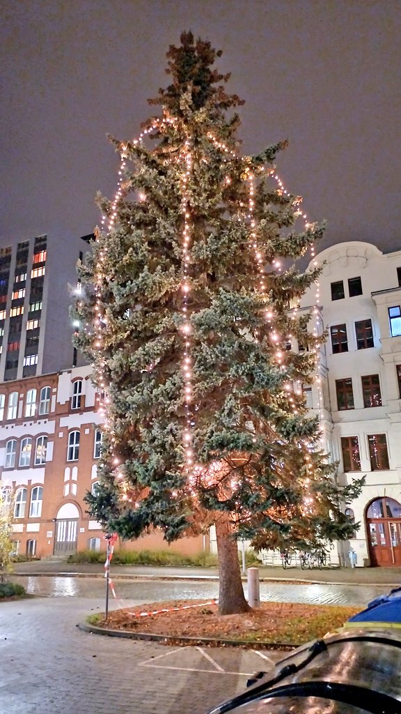 Festliche Baumbeleuchtung an der <a href="/OVGUpresse/">Otto-von-Guericke-Universität Magdeburg</a> - Check!