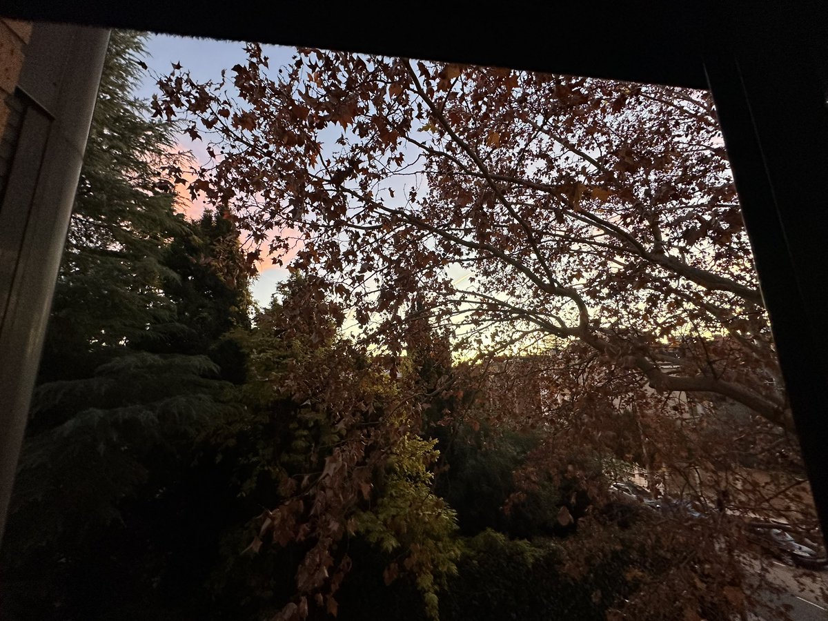 Liz Hoefsmit 🇮🇪🇾🇪🇪🇺🛫 tweet media