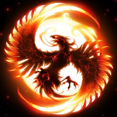 🐦‍🔥 Phoenix🐦‍🔥 (@X_Phoenix_5000) / Posts / X