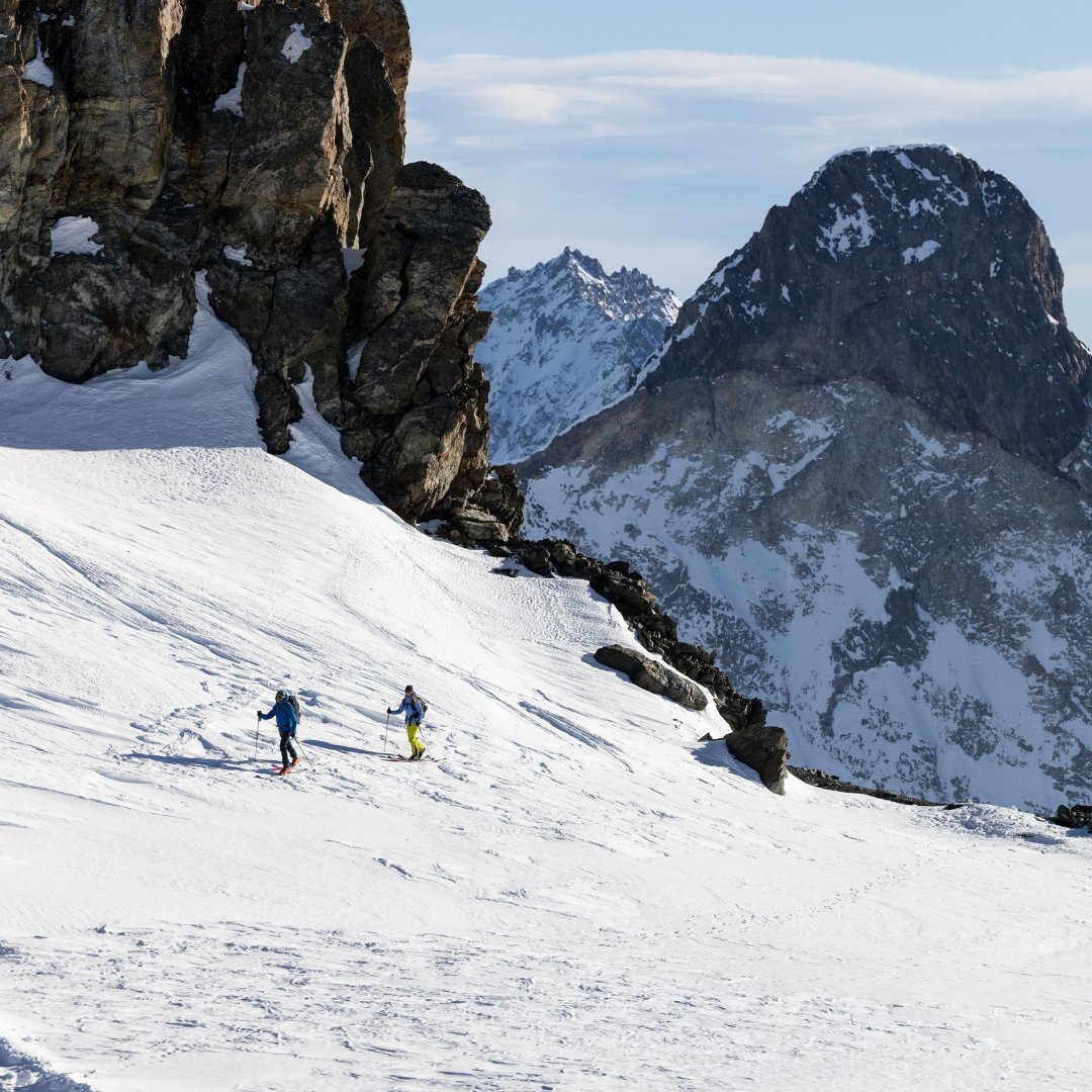 Montane tweet media