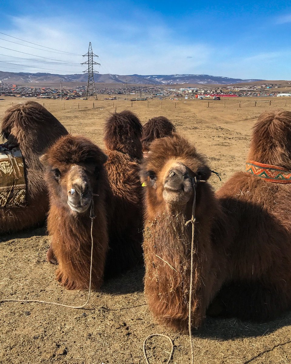 Projects Abroad tweet media