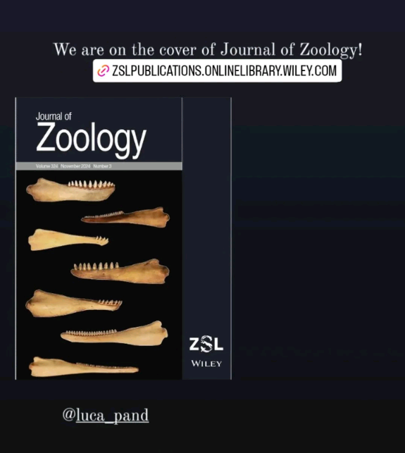 Deborah Vicari tweet media