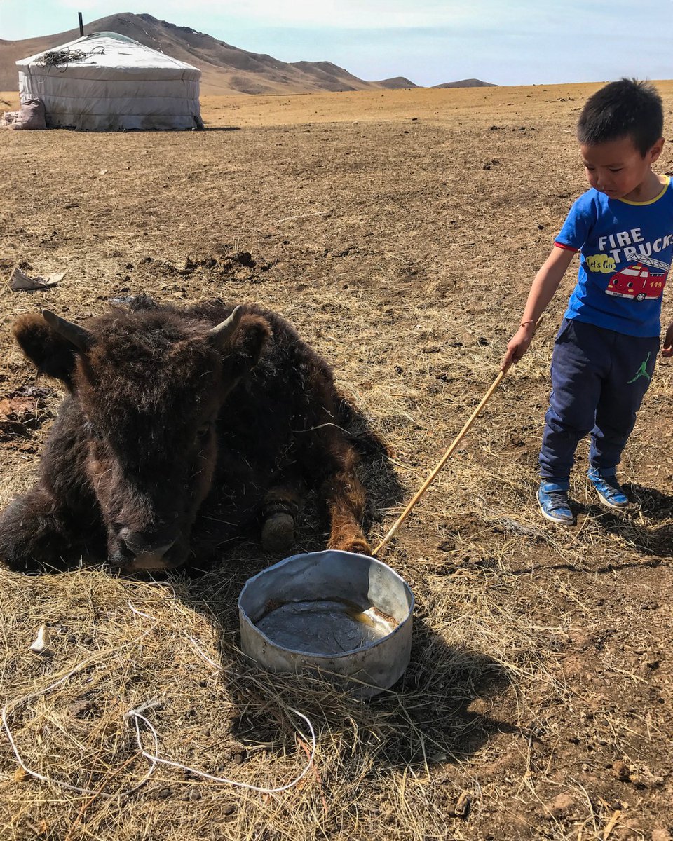 Projects Abroad tweet media