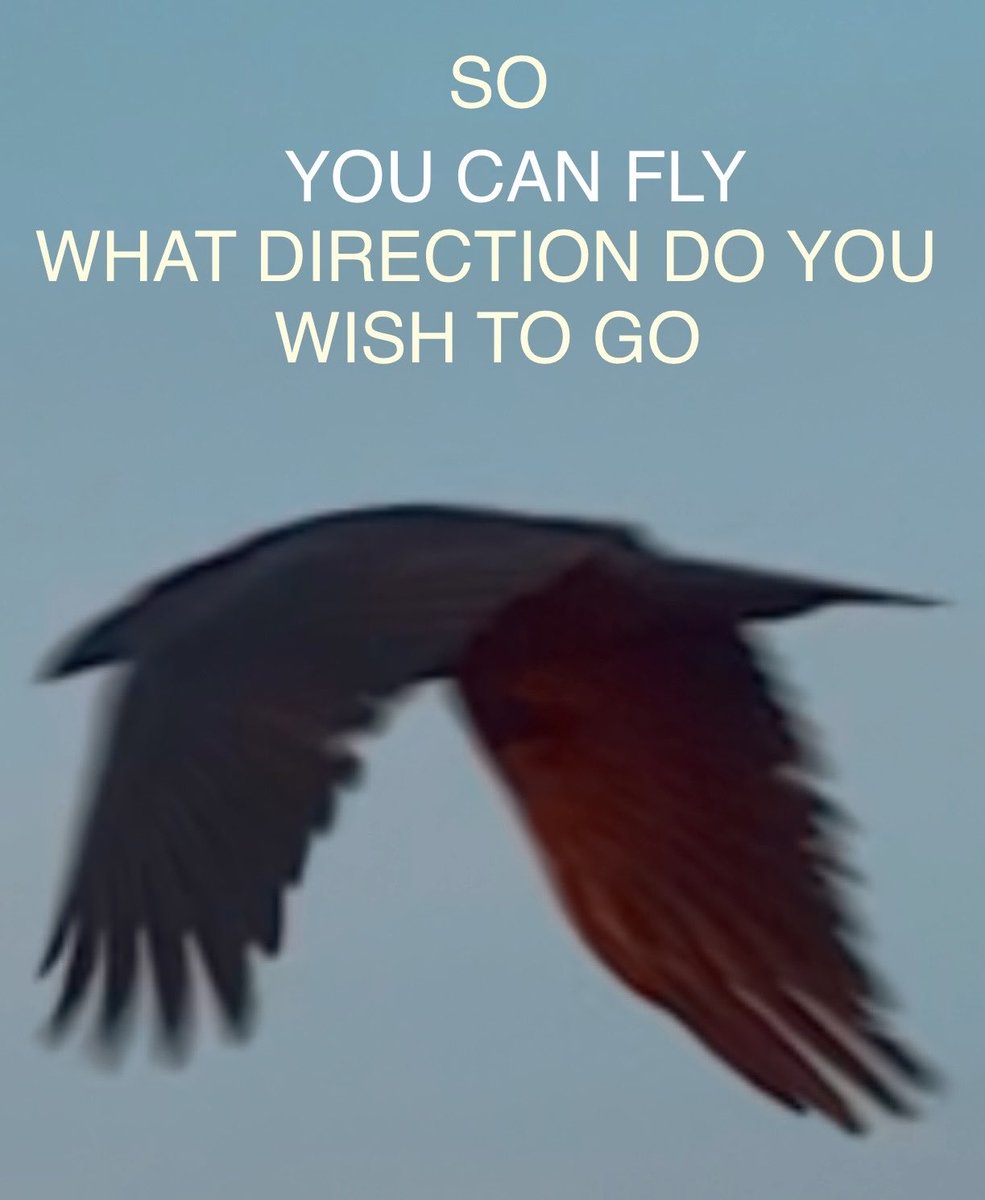 Allen Taylor tweet media