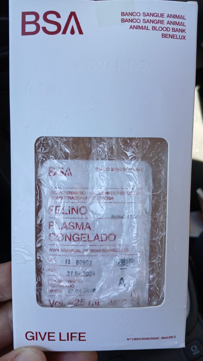 Recordatori! Agraeixo RTs.
De la gateta que vaig recollir setembre passat i que va acabar morint, tinc un paquet de *plasma* felí del *grup A* que no ens va donar temps d'administrar-li.

Em va costar més de 200€ i caduca l'abril del 2025. No vull que es acabo a la brossa, així