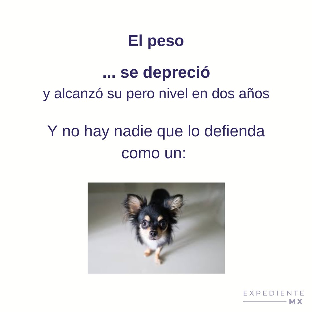 Exp. MX tweet media