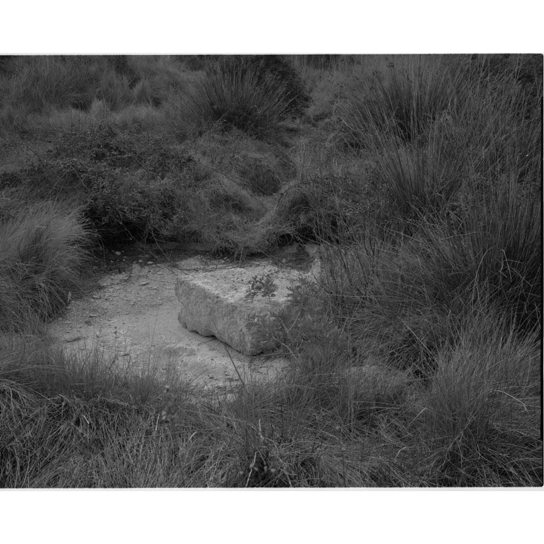 🗓️ Demà dijous (28/11) a les 19 h, al <a href="/medol_TGN/">Mèdol - Centre d’Arts Contemporànies de Tarragona</a>, inaugurem “Intermezzo III: Cal·lípolis” de <a href="/gerboy/">Gerard Boyer</a>, amb el comissariat d’<a href="/ariannarinaldo2/">arianna rinaldo</a>. 

🌍 Una mostra que explora els límits entre ciutat i natura dins l’11è #SCANTarragona.

ℹ️ scan.cat/exposicio/inte…