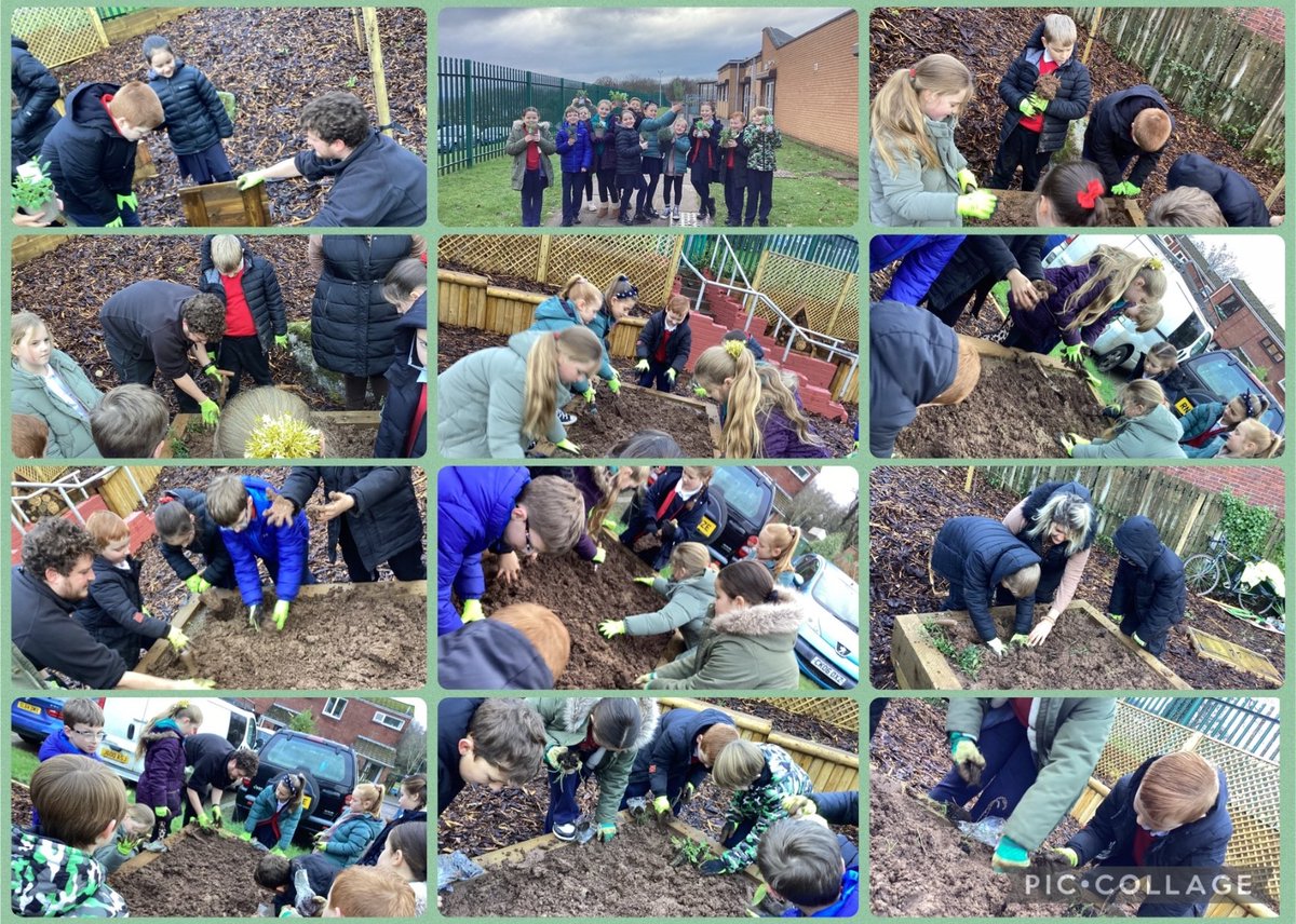 Mrs Williams tweet media