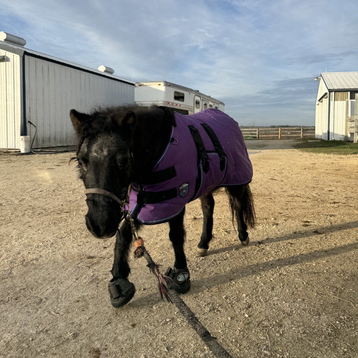 feeling good after her PEMF &amp; a cookie