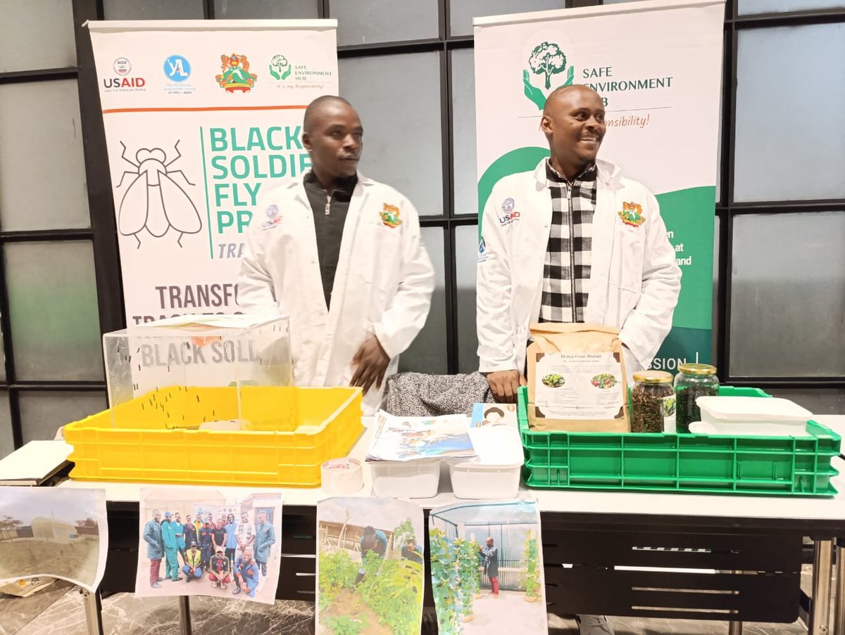 SEHubke's tweet photo. 📊 Delved into YALI's 2025-2029 Strategic Plans & their inspiring Impact Report.
🐝 Thrilled to showcase SEHUB's Black Soldier Fly Farming Project for waste management & sustainability.
🤝 Grateful for the chance to network with changemakers from 14 countries.#SEHUB #YALI https://t.co/t5lUfH8m1K
