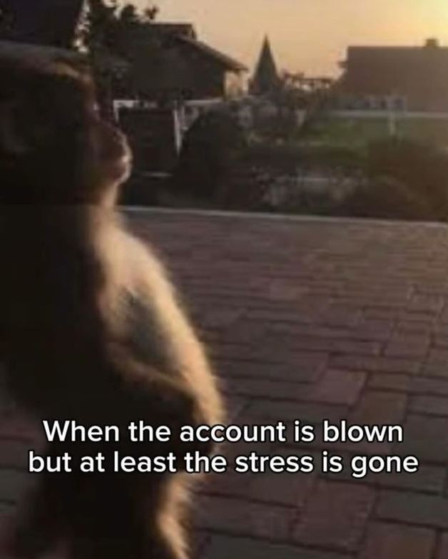 tradertheory's tweet image. 