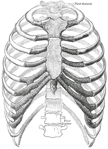 Dr_Royer's tweet photo. Understanding Costochondritis

Discover everything about costochondritis: symptoms, causes, treatment options, and management strategies for effective relief and improved daily living.

Click here for the article.
https://t.co/g6efzewzrR https://t.co/LZ2wI6l2tQ
