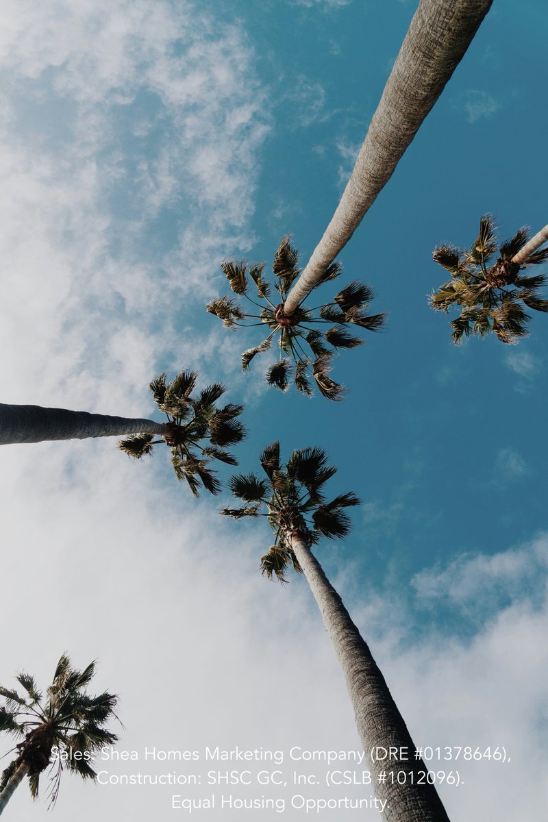Coming soon: Ocean View Point in Carlsbad! 🌊✨ Picture weekends filled with nearby beach strolls, local cafes, and unbeatable sunsets—all just moments away.

Join our Interest List to stay in the loop! bit.ly/4fqolJG