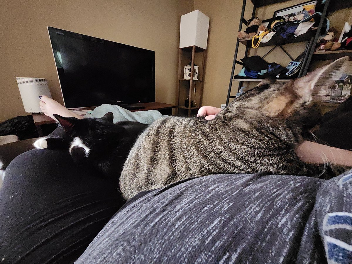 Aaarrggg, I have a list of chores and accidentally sat down on the couch to take a break.  Now I'm stuck. How long? Who knows!