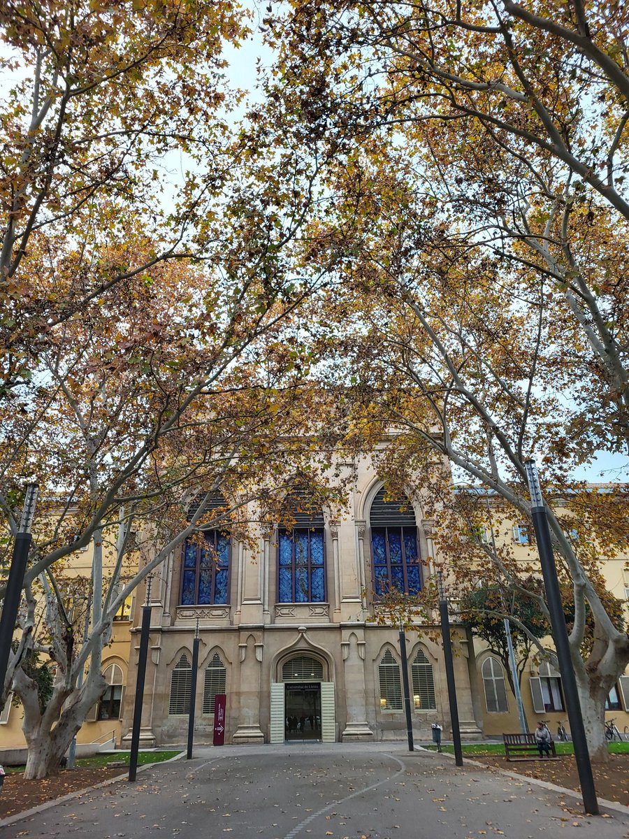 ballpa's tweet photo. XXV Congreso de la @SEDLL #SIDLL en la Universitat de Lleida https://t.co/d66WvrBvlZ