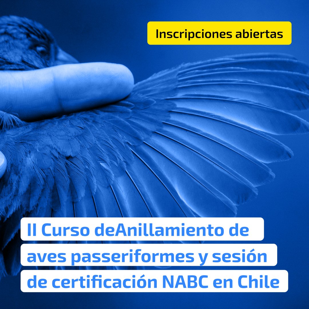 Instituto Milenio BASE tweet media