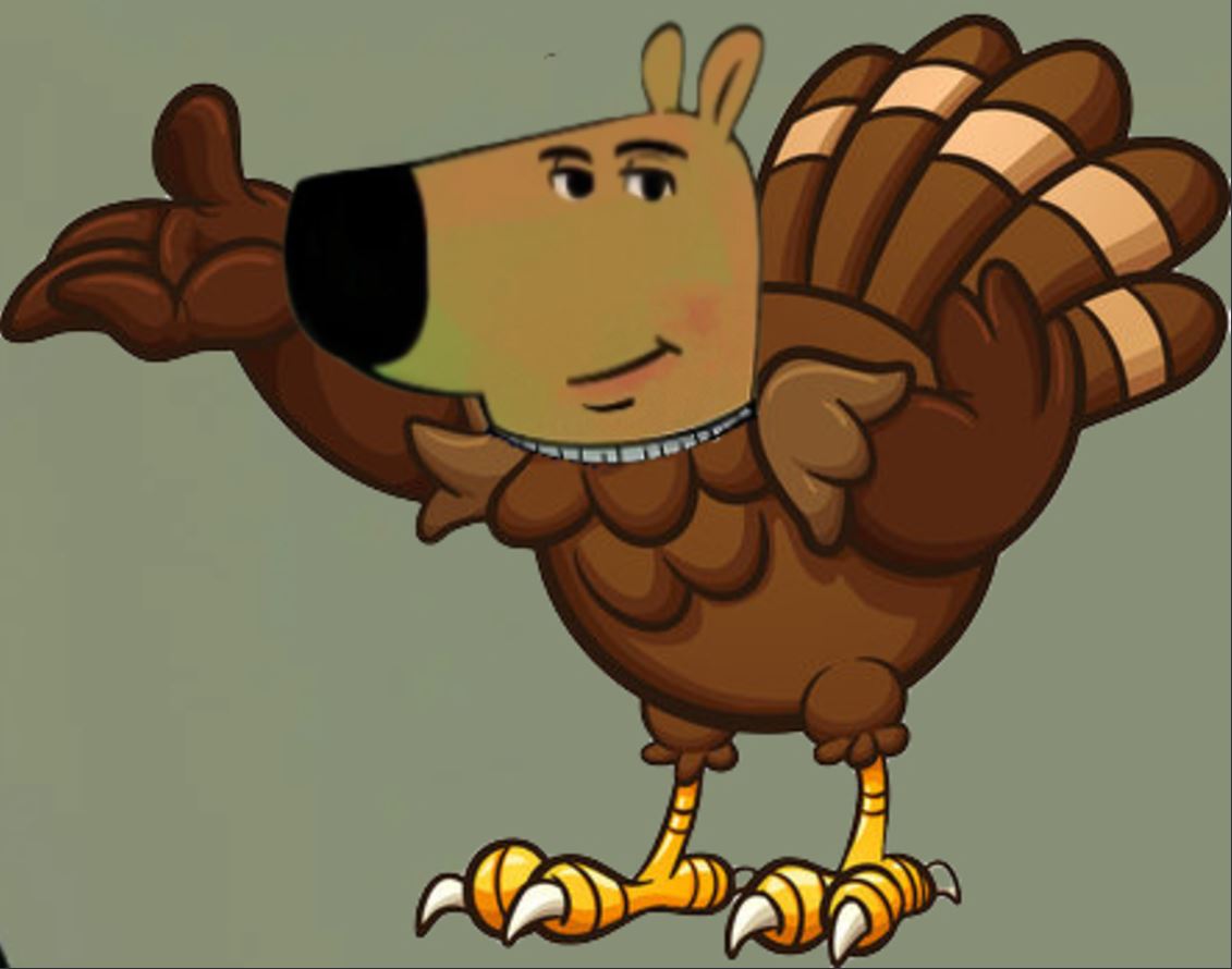 Just a Chill Turkey tweet media