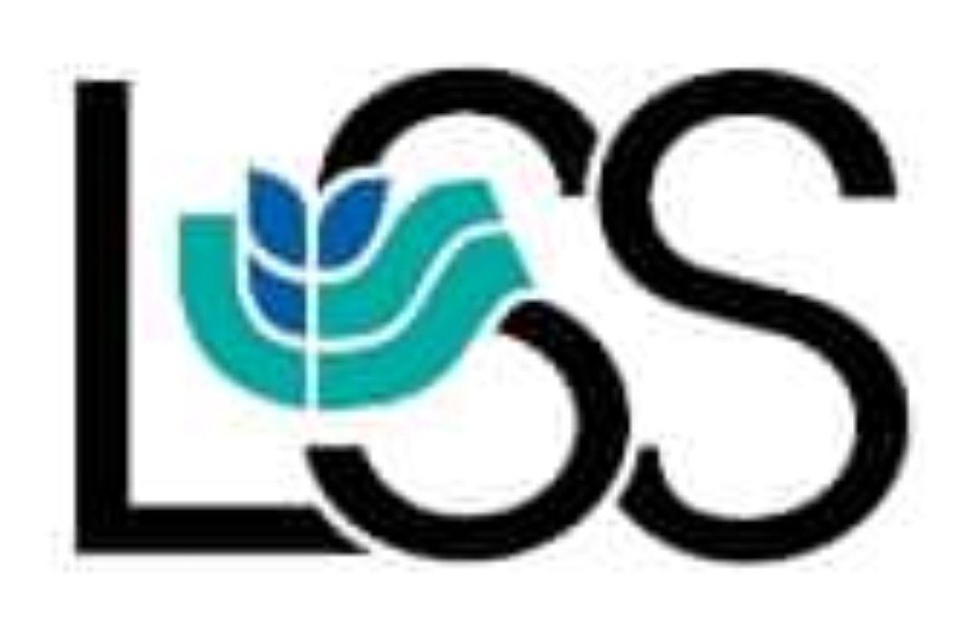 Thank you again to LSS Mentoring Services for sponsoring our November chapter meeting.
Check out their website for more details: mentoring.LssSD.org  

LSS Mentoring Services matches volunteer mentors with children in the Sioux Falls area.