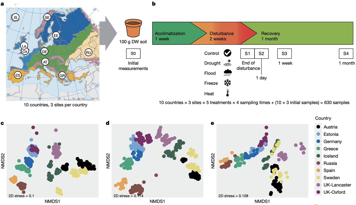 Chris Knight (@knightjjar) on Twitter photo Soil microbiomes show consistent and predictable responses to extreme events
Weโre out in Nature!! doi.org/ntzk Very exciting โ itโs been a long haul by a great team, led by <a href="/frantecol/">Prof. Franciska de Vries ๐ฆ ๐๐ชฑ๐ฑ๐๐</a> <a href="/UoM_EES/">Earth Sciences at the University of Manchester</a> <a href="/OfficialUoM/">The University of Manchester</a> with excellent collaborators, also <a href="/SoilEcolUoM/">Soil Ecology Lab UoM</a> <a href="/MERManchester/">Microbial Evolution Research Manchester (MERMan)</a> Soil microbiomes show consistent and predictable responses to extreme events
Weโre out in Nature!! doi.org/ntzk Very exciting โ itโs been a long haul by a great team, led by <a href="/frantecol/">Prof. Franciska de Vries ๐ฆ ๐๐ชฑ๐ฑ๐๐</a> <a href="/UoM_EES/">Earth Sciences at the University of Manchester</a> <a href="/OfficialUoM/">The University of Manchester</a> with excellent collaborators, also <a href="/SoilEcolUoM/">Soil Ecology Lab UoM</a> <a href="/MERManchester/">Microbial Evolution Research Manchester (MERMan)</a>