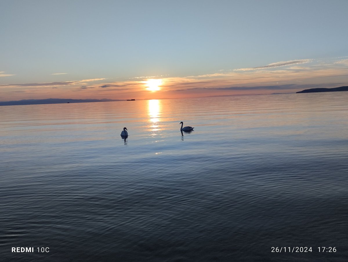 alpaslan korkmaz (@alpaslankorkmz) on Twitter photo 