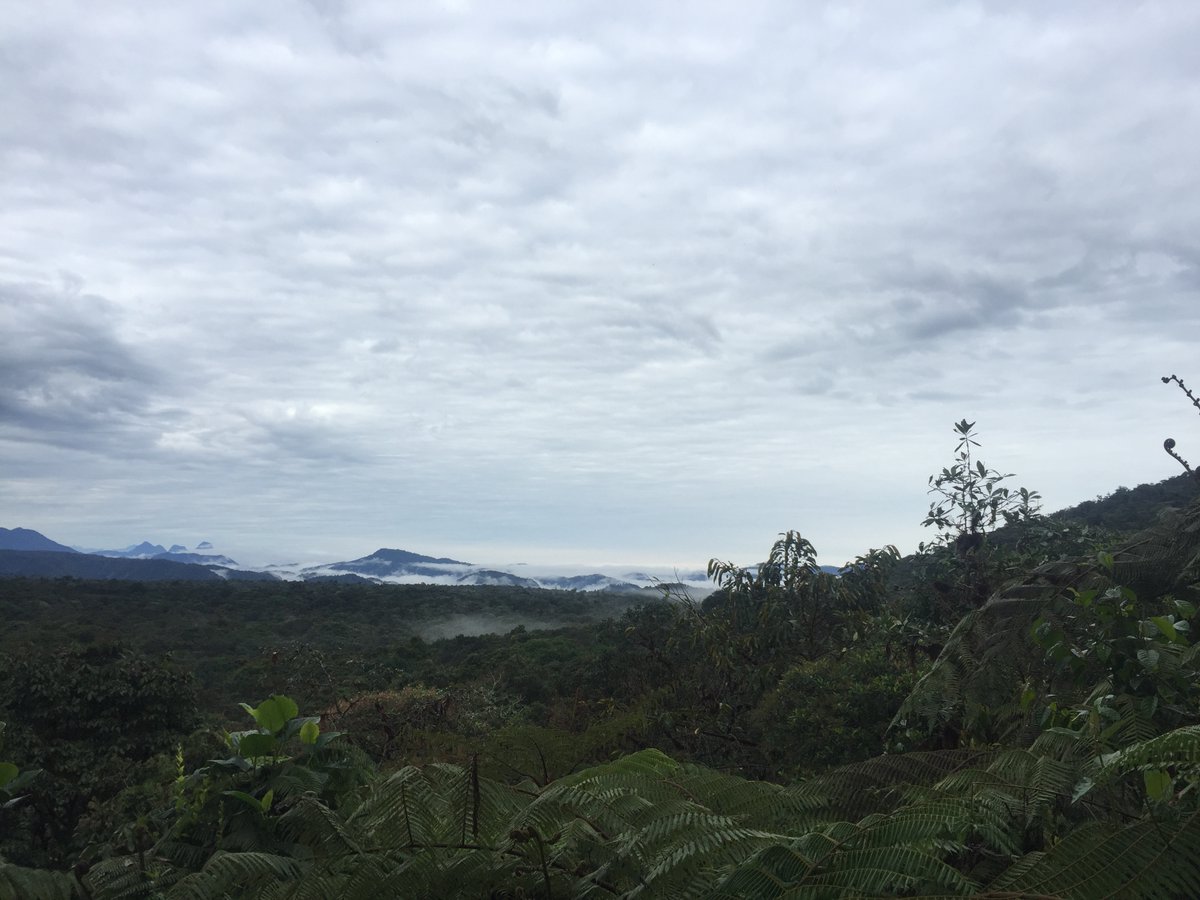 Interested in joining the ForestGEO team? 🌳 We're hiring a Staff Scientist! 🧑‍💼 Click to learn more about our opening for a Research Ecologist in our Central and South American Forest Dynamics Plots. 🌎Apply now! rb.gy/n1vgcy