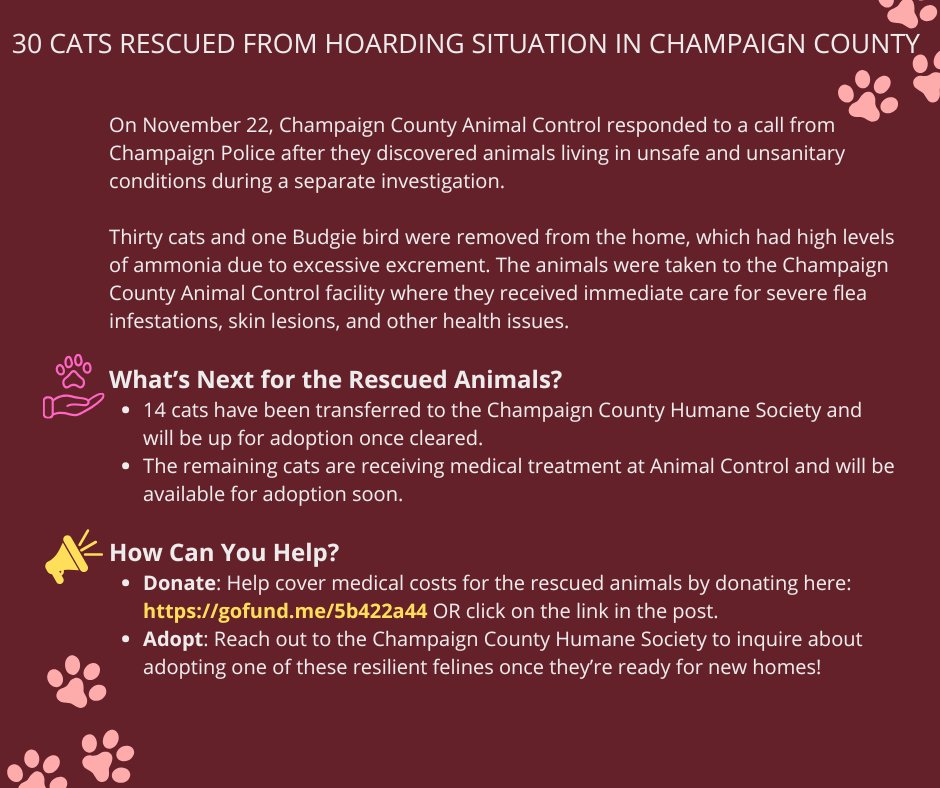 ChampaignCoGov's tweet image. Champaign County Rescues 30 Cats from Hoarding Case - HOW CAN YOU HELP?

If you're able, please consider adopting and/or donating to support the well-being of these feline friends and help give them a second chance.

DONATE TODAY: gofund.me/5b422a44
