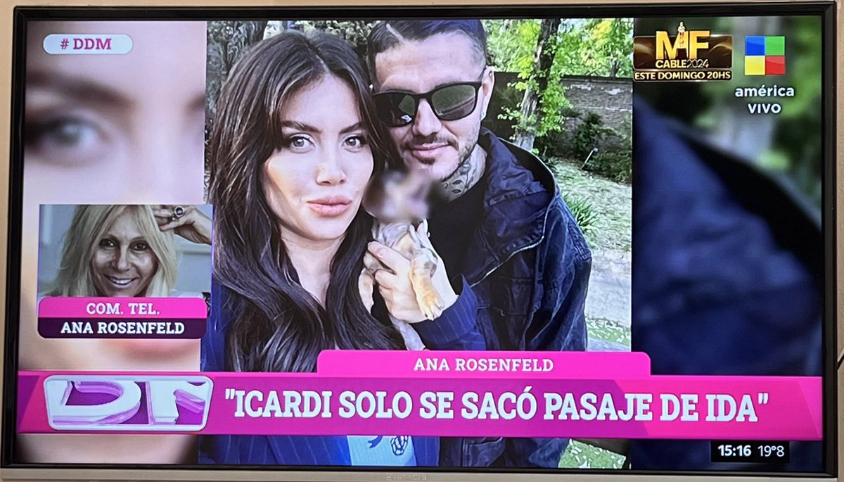 vikitis's tweet image. Explicame por qué le blurean la cara a un perro?