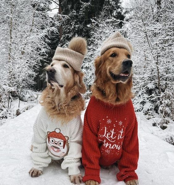 Make It an Artisan #Handmade #Christmas - Week 10 Favorites - 2024 | Shadow Dog Designs shadowdogdesigns.com/blog/make-it-a… via <a href="/ShadowDogDesign/">Catherine</a> #bmecountdown #ChristmasBlog #ChristmasShopping #HandmadeChristmas