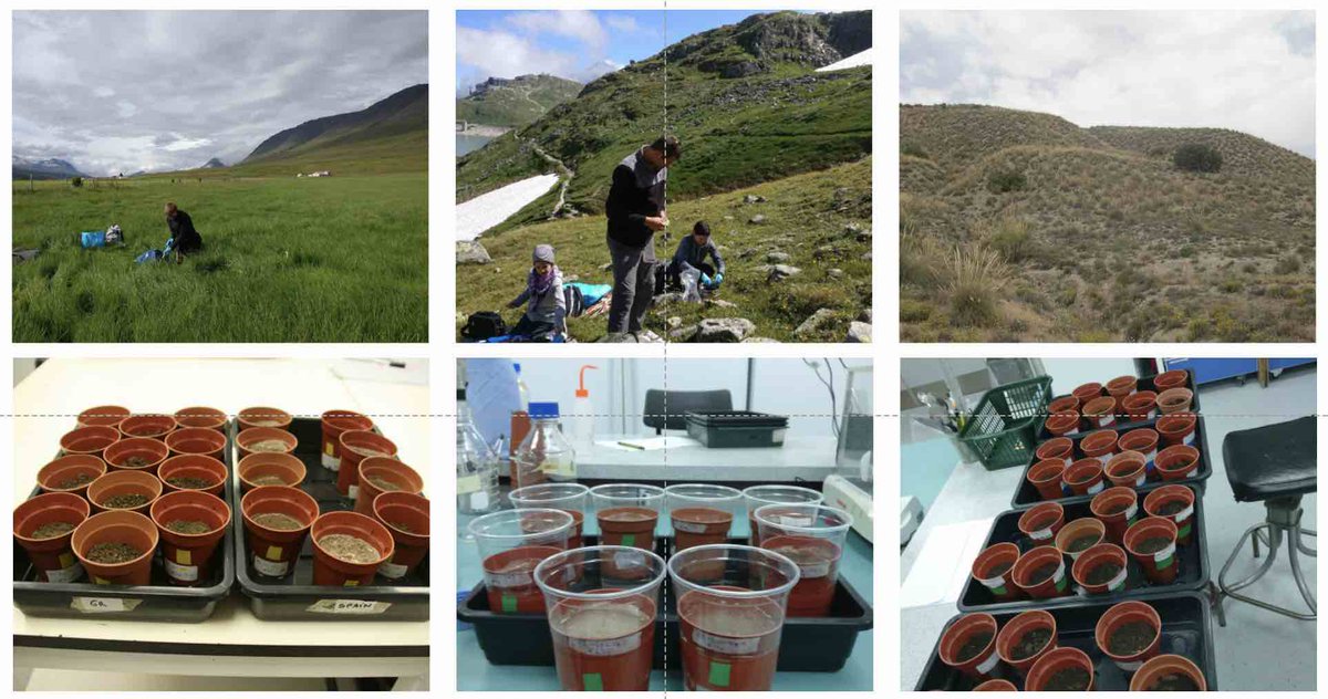 Climate impacts on European soils predicted by scientists
Our paper’s out <a href="/Nature/">nature</a> !
Read about it here:
manchester.ac.uk/about/news/cli…
Or the original here: doi.org/ntzk
With <a href="/frantecol/">Prof. Franciska de Vries 🦠🍄🪱🌱🍂🌍</a> and many others