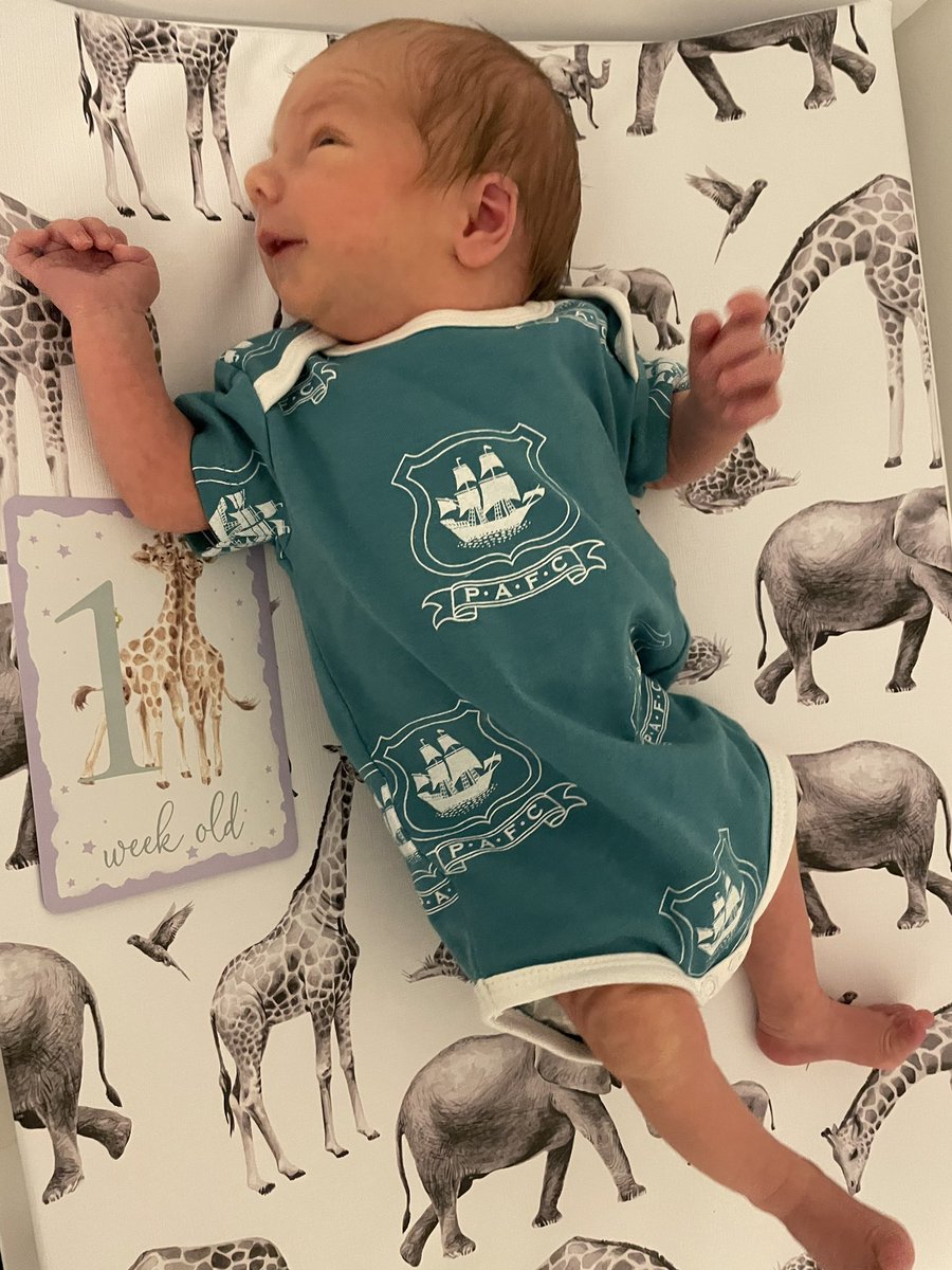 The newest member of the Green Army at a week old 💚 <a href="/Argyle/">Plymouth Argyle FC</a>