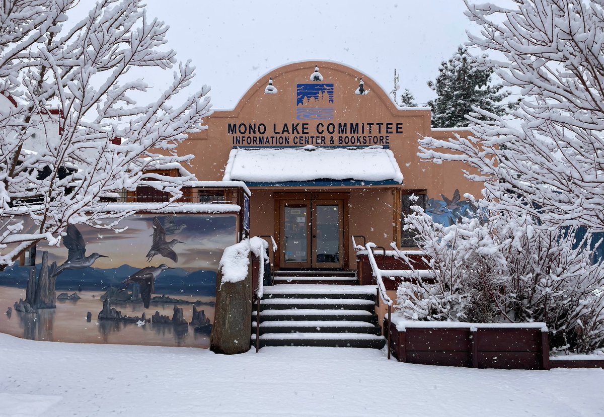 You can support the #MonoLakeCommittee on #SmallBusinessSaturday when you shop online at monolake.org/shop! We're the perfect place to find gifts this holiday season and 100% of your purchase benefits our work for Mono Lake! 📷 by Mara Krista Plato from Nov. 26, 2024